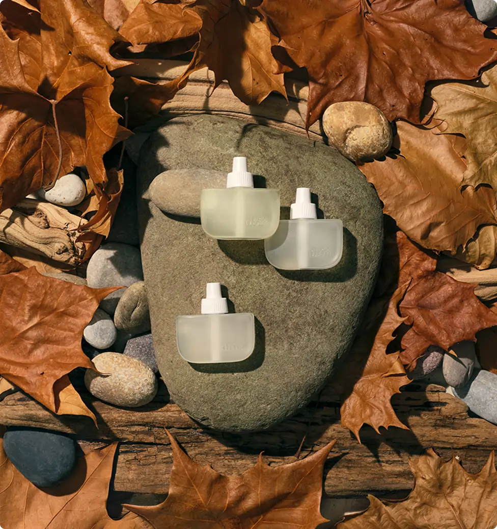 Gifts under $50 Holiday 2024